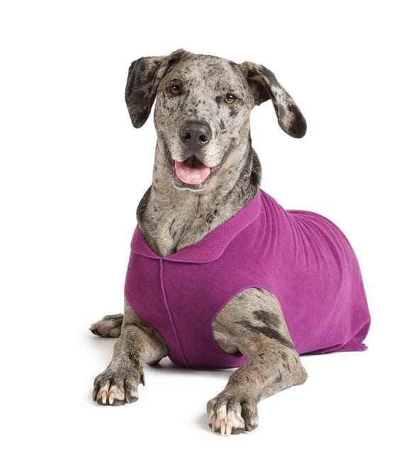 Gold Paw Single Stretch Fleece Eggplant