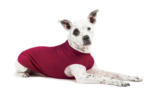 Gold Paw Single Stretch Fleece Garnet