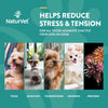 NaturVet Quiet Moments Plus Melatonin Soft Chews