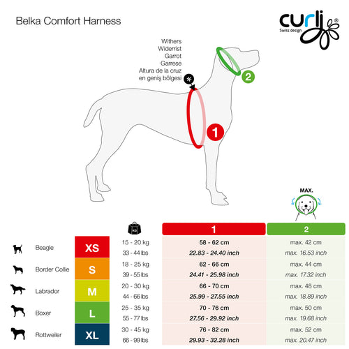 Curli Belka Comfort Dog Harness (Black XS)