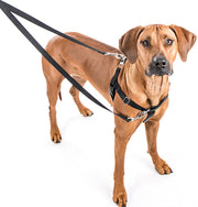 Freedom Harness Medium Kit 1"