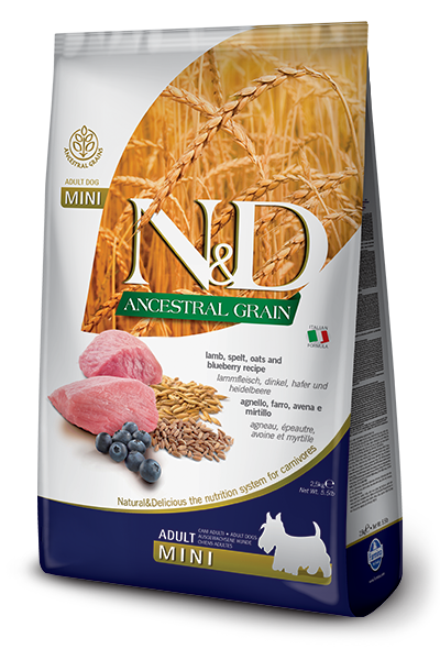 Farmina N&D Ancestral Grain Lamb & Blueberry Mini Adult Dry Dog Food