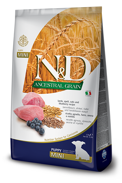 Farmina N&D Ancestral Grain Lamb & Blueberry Mini Puppy Dry Dog Food