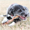 Tuesday's Natural Dog Company Beef Combo Strap