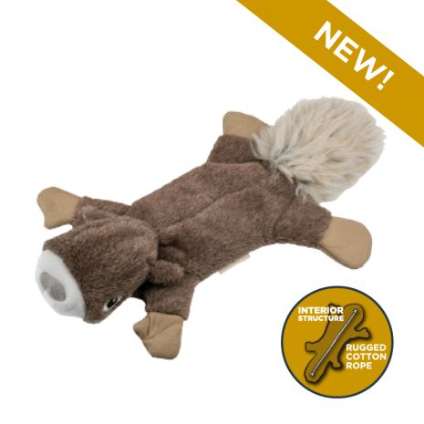 Tall Tails Stuffless Squirrel Squeaker Dog Toy (16